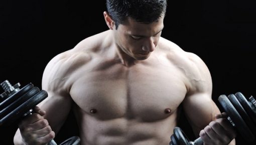 Bodybuilding for beginners