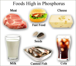 Phosphorus foods