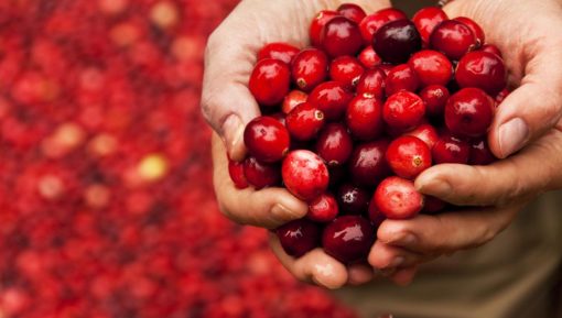 cranberries, handful