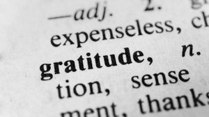 gratitude